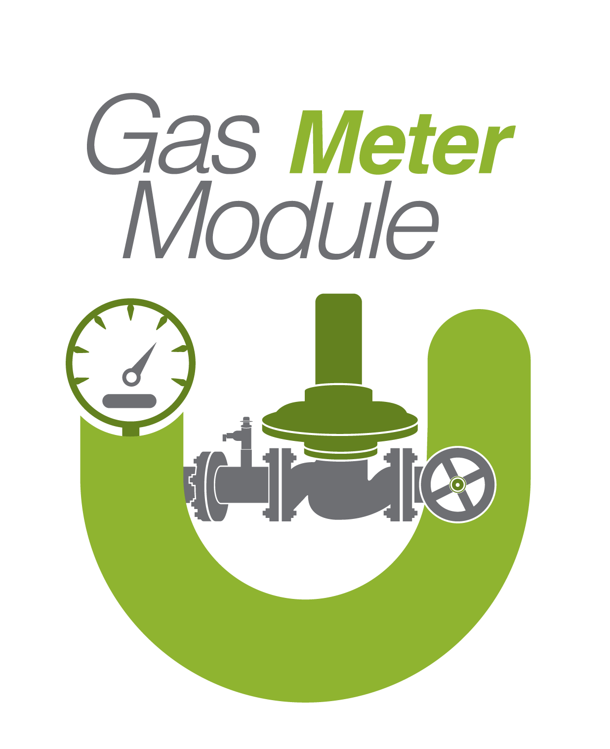 Gas Meter Module